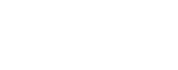 TinyRide